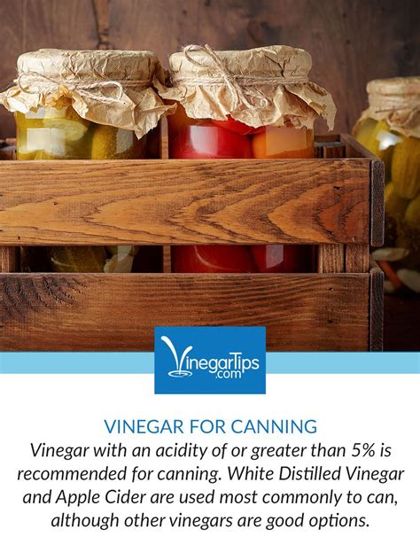 difference between white and brown vinegar for cleaning